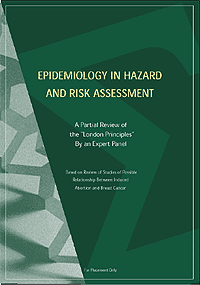 Risk Paper